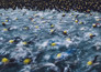 Triatlon: T100 World Tour Vancouver