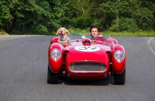 Milo Ventimigli in The Art of Racing in the Rain