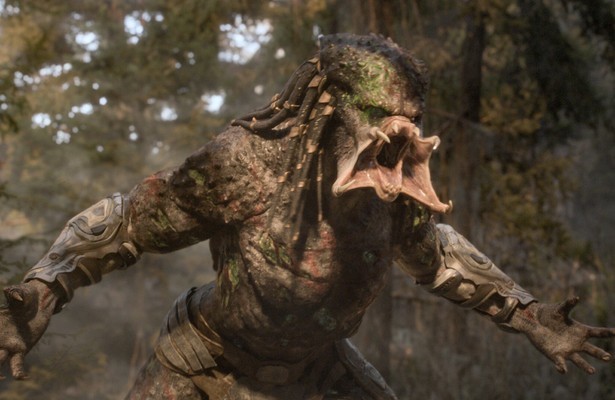 The Predator