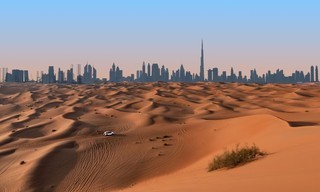 Wild Dubai