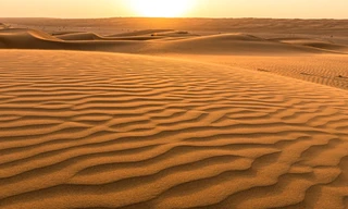 Wildest Middle East