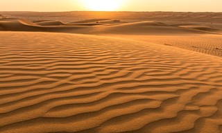 Wildest Middle East