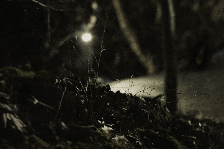 Where Murder Lies