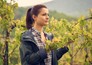 Weingut Wader