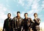 Wild Hogs