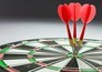 World Series of Darts Finals
