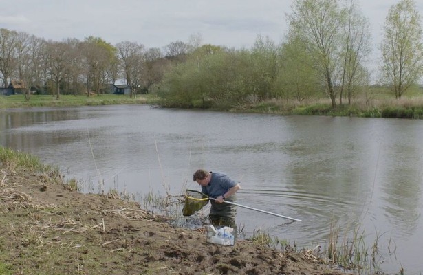 Wildernis onder Water