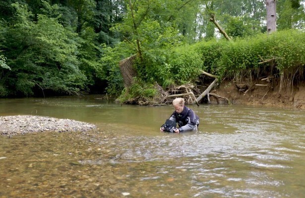 Wildernis onder Water