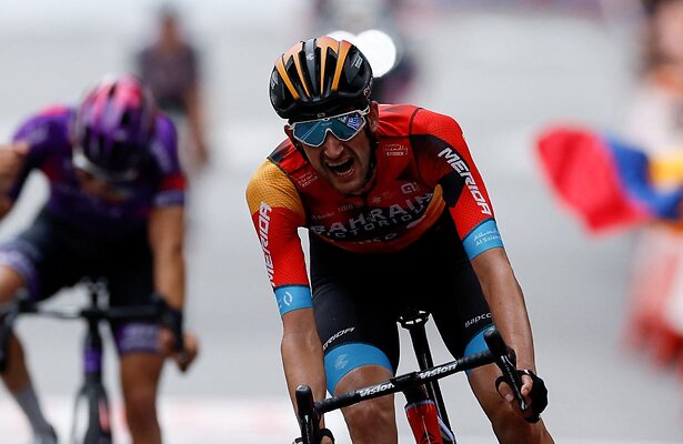 Wout Poels