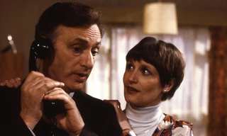 Yes, Minister