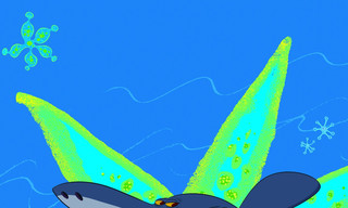 Zig & Sharko