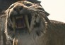 10,000 BC