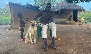 360° Reportage: Uganda - Hunde der Hoffnung