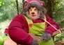 3 Bears Christmas