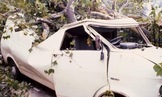 999 Special: The Great Storm of 1987