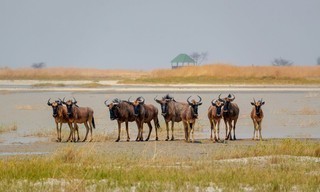 Africa's ghost river