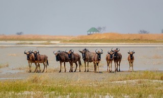 Africa's ghost river
