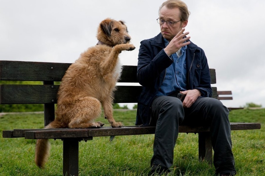 Absolutely Anything