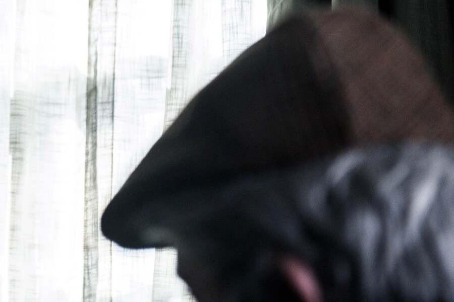 American Animals