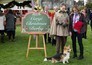 A Royal Corgi Christmas - Weihnachten wird königlich