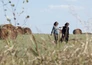 August: Osage County