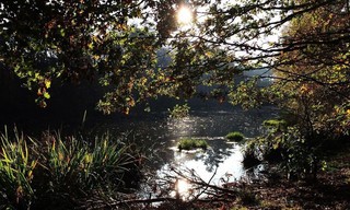 Beken in Brabant