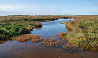 Borkum - Insel-Ostfriesen unter sich