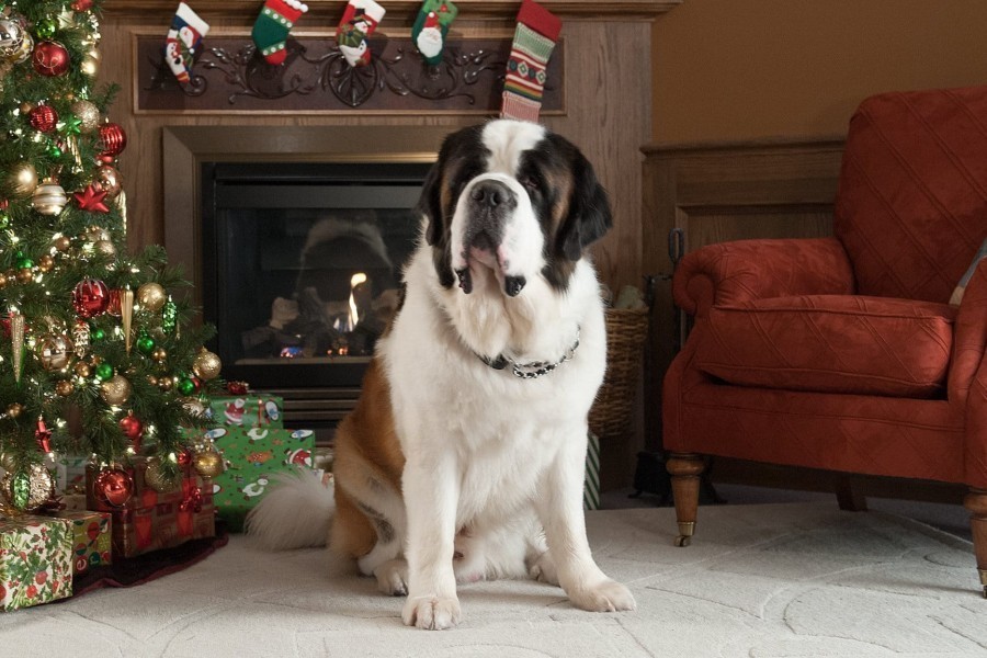 Beethoven's Christmas Adventure