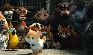 Cats: Op zoek naar Kattopia