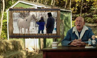 Coffee break with dr. Pol