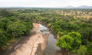 Croc wars: Grumeti vs. Mara