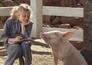 Charlotte's Web