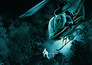 Chopper cops
