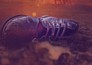 Cold case files: Dead west