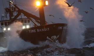 Deadliest catch