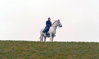 Der Schimmelreiter