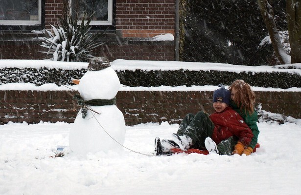 De Seizoenen