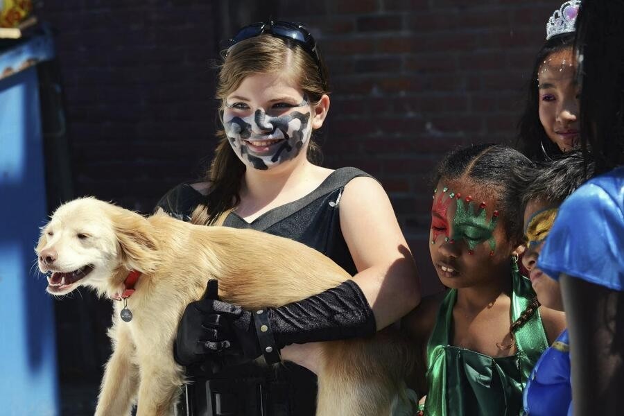 Dognapped