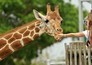 De zoo