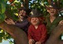 Drie rovers en een leeuw
