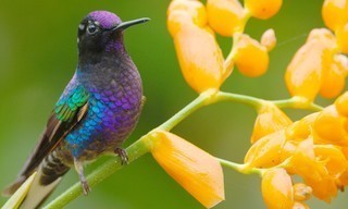 Ecuador, Hotspot der Artenvielfalt