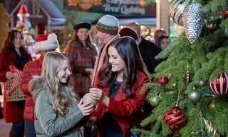 You, Me & the Christmas Trees