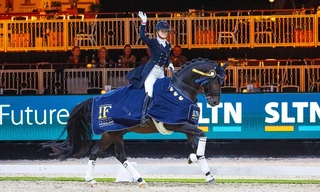 Equestrian Sport: Indoor Friesland