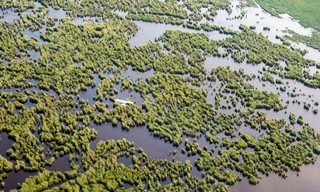 Expedition ins Schilf - Nationalpark Neusiedler See