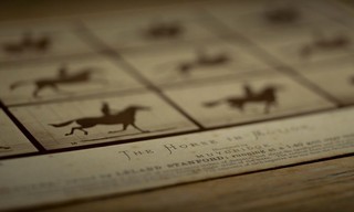 Exposing Muybridge