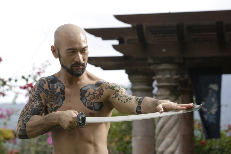 Falcon Rising