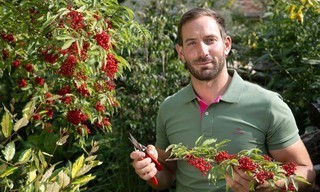 Garten und lecker