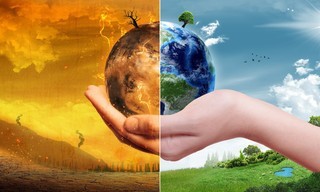 Globalisierung der Natur: Invasive Arten