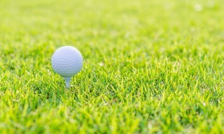 Golf: EPGA Legend Tour (Hoogtepunten)