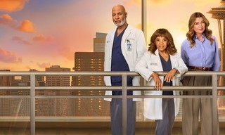Grey's anatomy